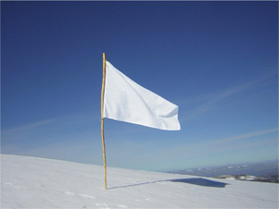 [Image: White-Flag-Small.jpg]